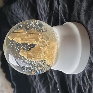 Nativity snow globe